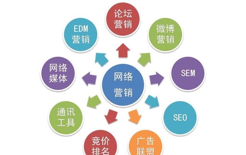SEO优化神器大比拼：2026年新手入门该选哪一款？